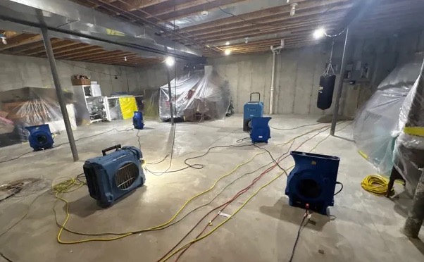 Basement Water Damage Restoration in Newcastle, WA