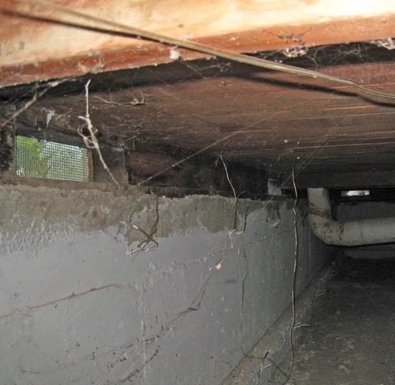 Crawl Space Water Extraction in Lake Forest Park, WA