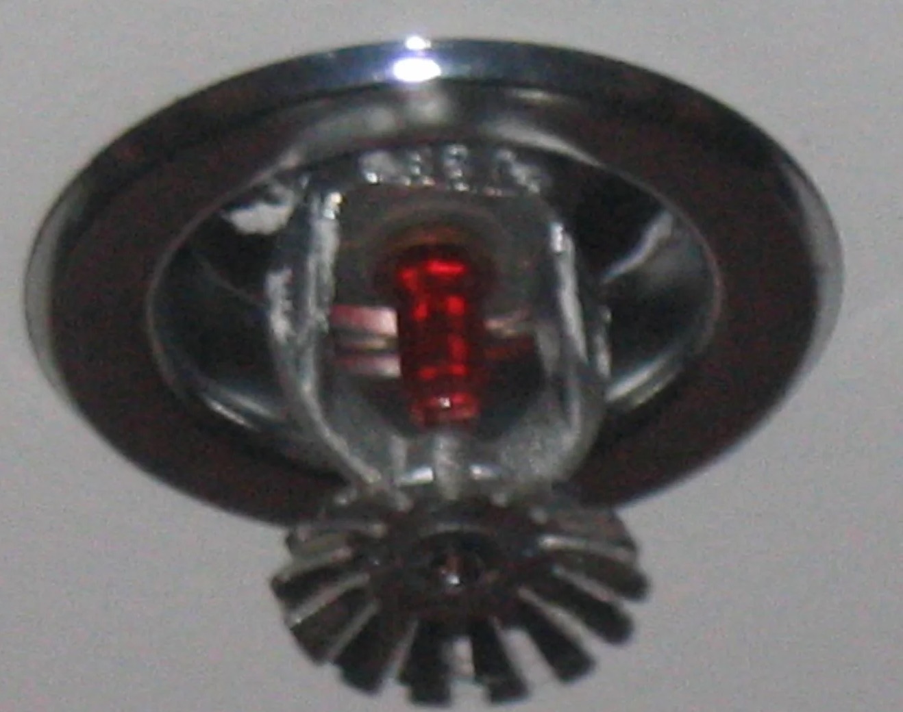 Fire Sprinkler Discharge Water Removal in Steilacoom, WA