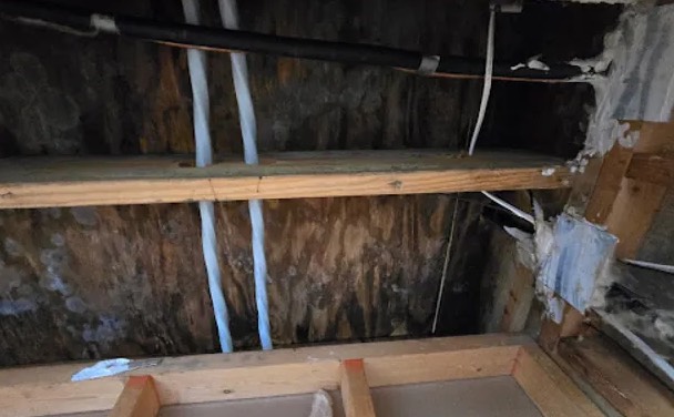 Attic Water Damage Restoration in Mukilteo, WA