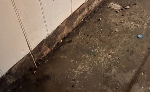 Black Water Extraction (Category 3) in Mukilteo, WA