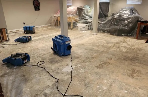 Moisture Detection Services in Chehalis, WA